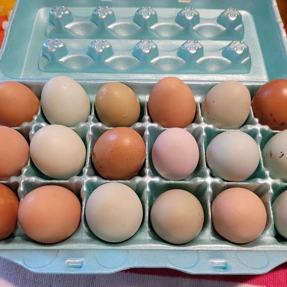 Meet your Posher, Jamie - Picture 2 of 8